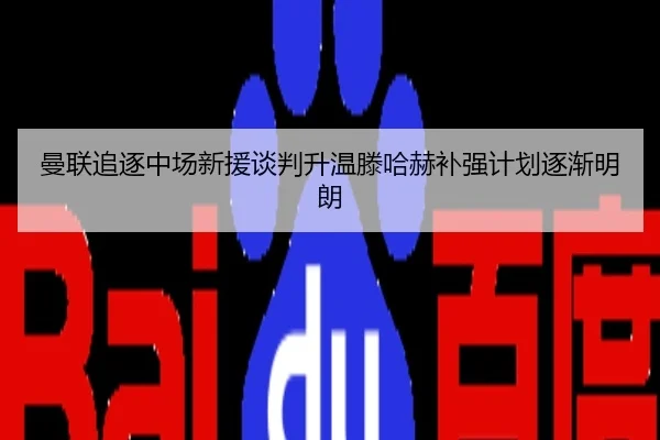 曼联追逐中场新援谈判升温滕哈赫补强计划逐渐明朗