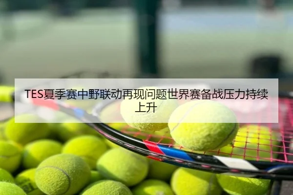 TES夏季赛中野联动再现问题世界赛备战压力持续上升