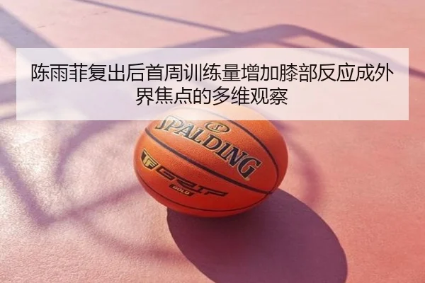 陈雨菲复出后首周训练量增加膝部反应成外界焦点的多维观察